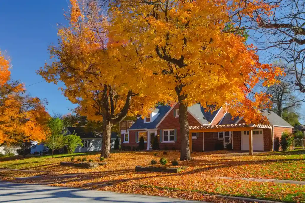 Image of home in Springfield surrounded by trees and fall-colored leaves | Live in Springfield MO