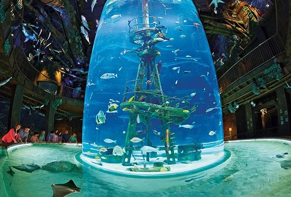 indoor aquarium with fish at Wonders of Wildlife in Springfield, MO