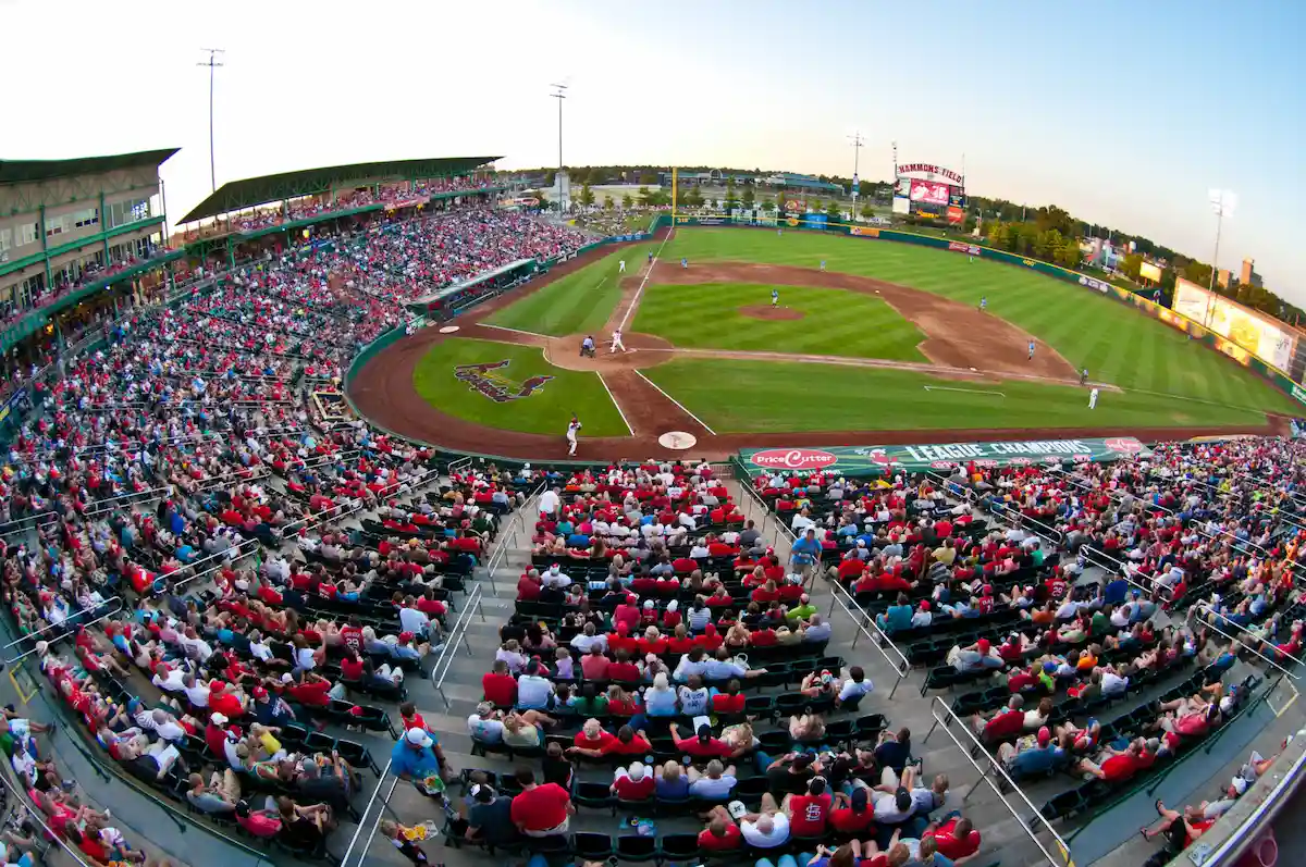 Springfield Cardinals Team Set 2022