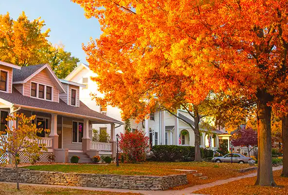 Fall in Springfield Missouri Neighborhood